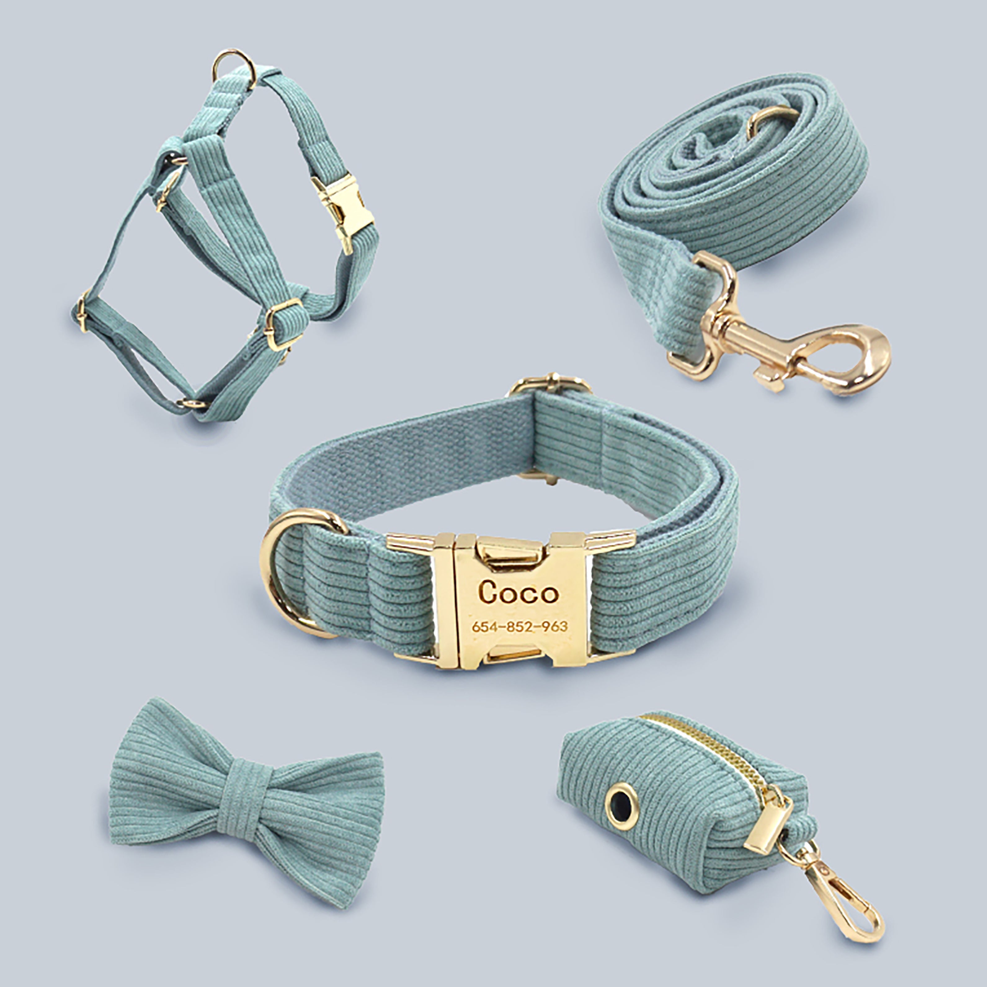 Personalized dog collar and leash set best sale