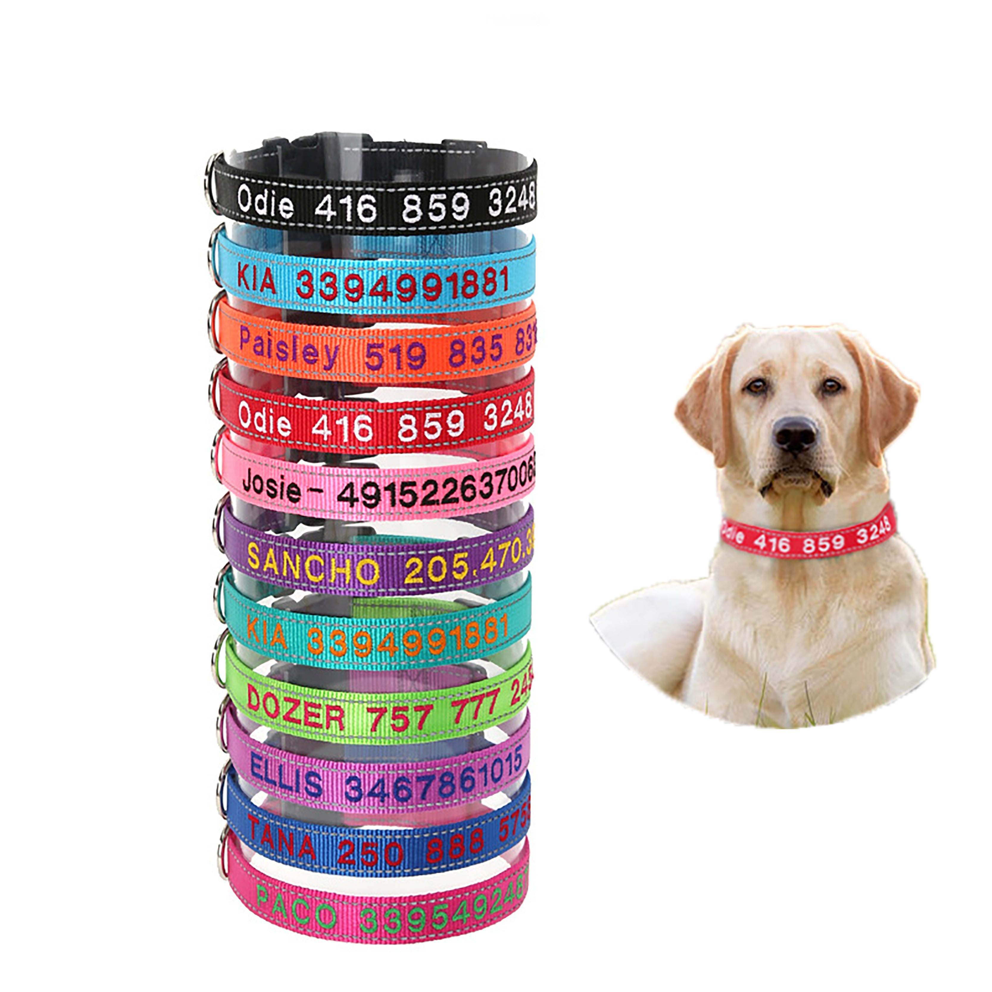 Personalised dog collars pets at home best sale