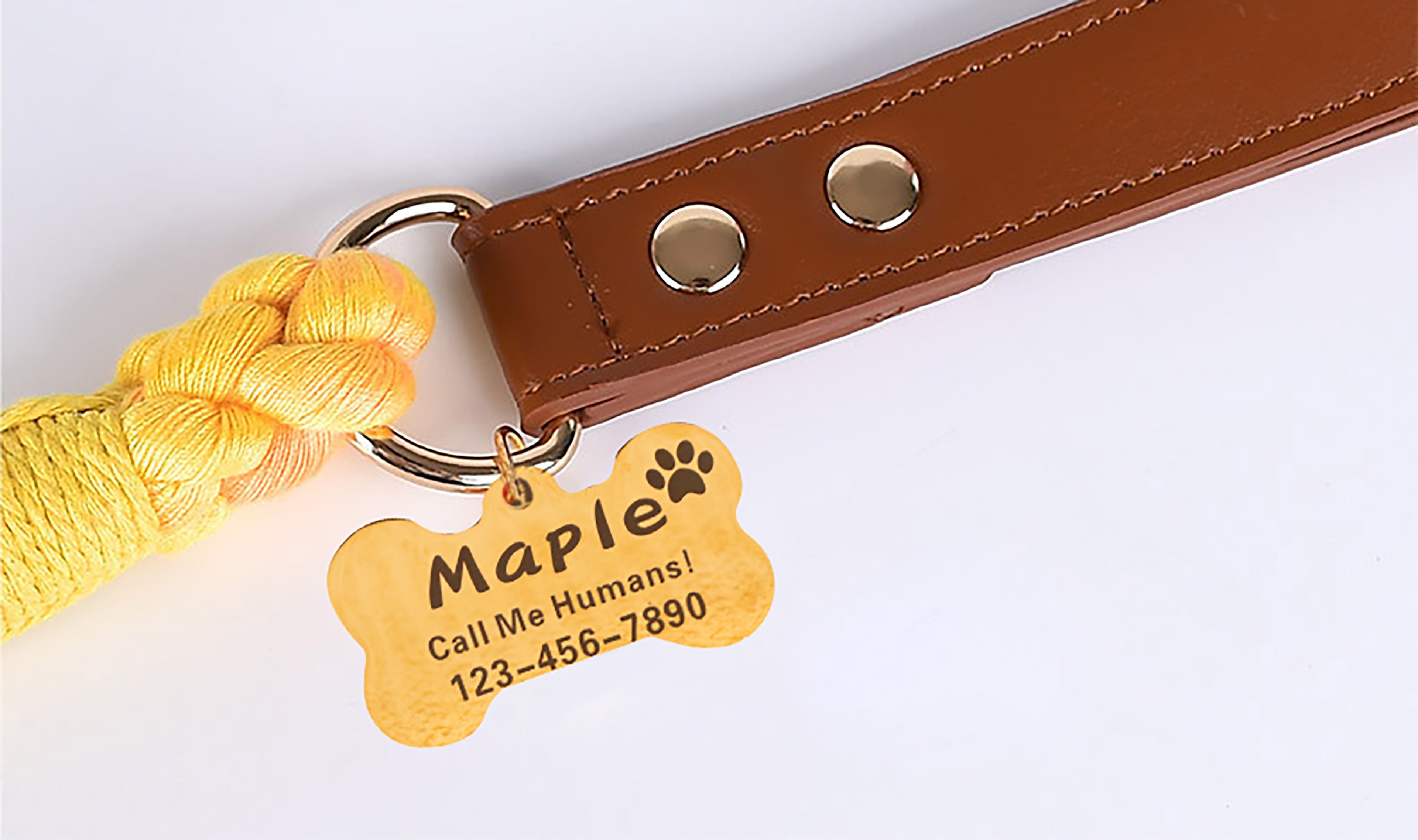 Personalized dog collar and leash best sale